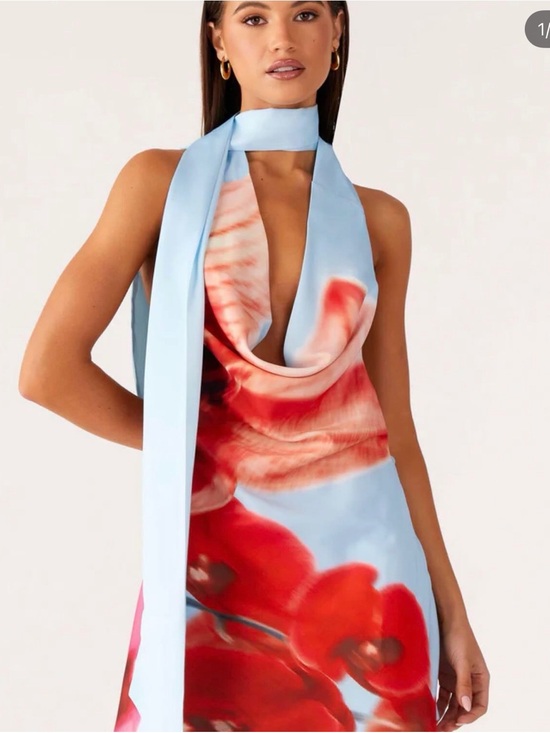 Peppermayo Dresses & Skirts - Peppermayo Blue and Red Floral Mini Dress